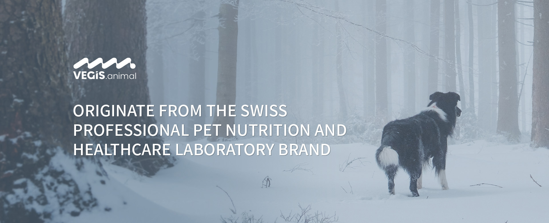 Originate From The Swiss Professional Pet Nutrition And Healthcare Laboratory Brand