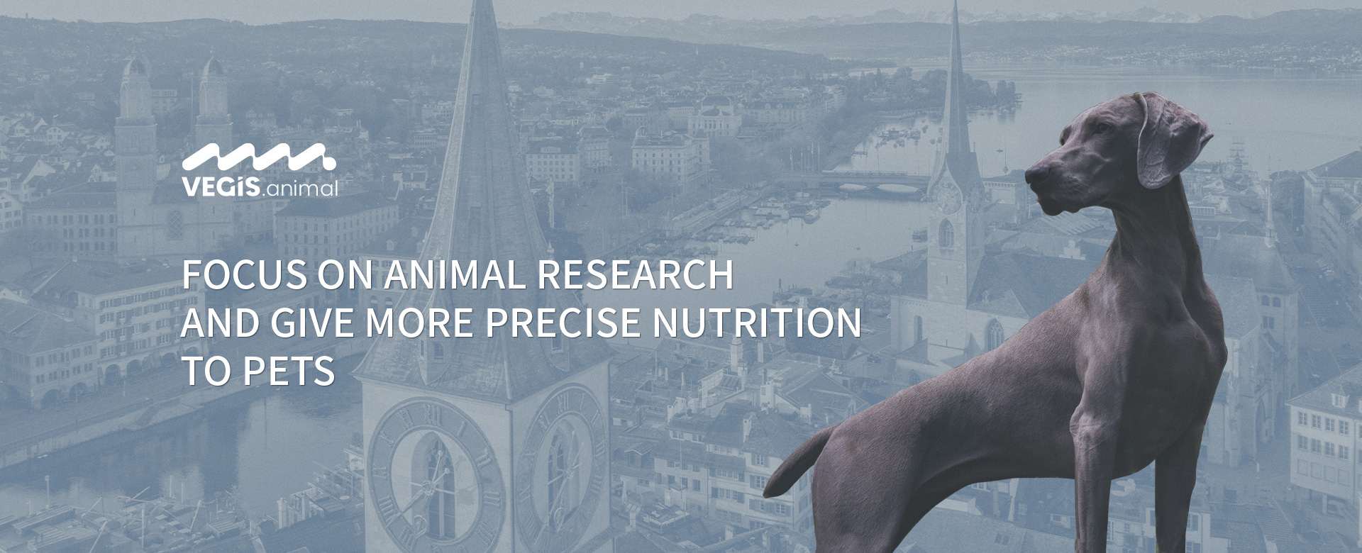 Focus on animal research and give more precise nutrition to pets